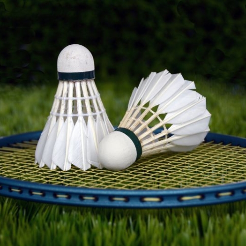 Durable Badminton Nets for Indoor and Outdoor Use 2025