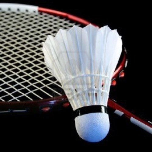 Affordable Badminton Rackets for All Skill Levels 2025