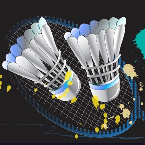 Top Badminton Accessories for Enhanced Gameplay 2025