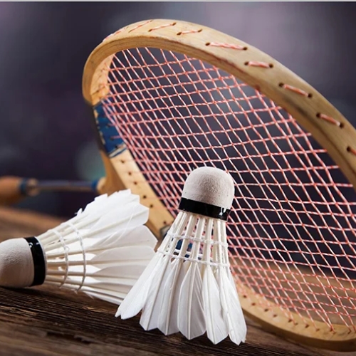 Comfortable Badminton Shoes for All-Day Play 2025